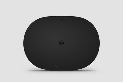 Sonos Era 300 Black - rear view
