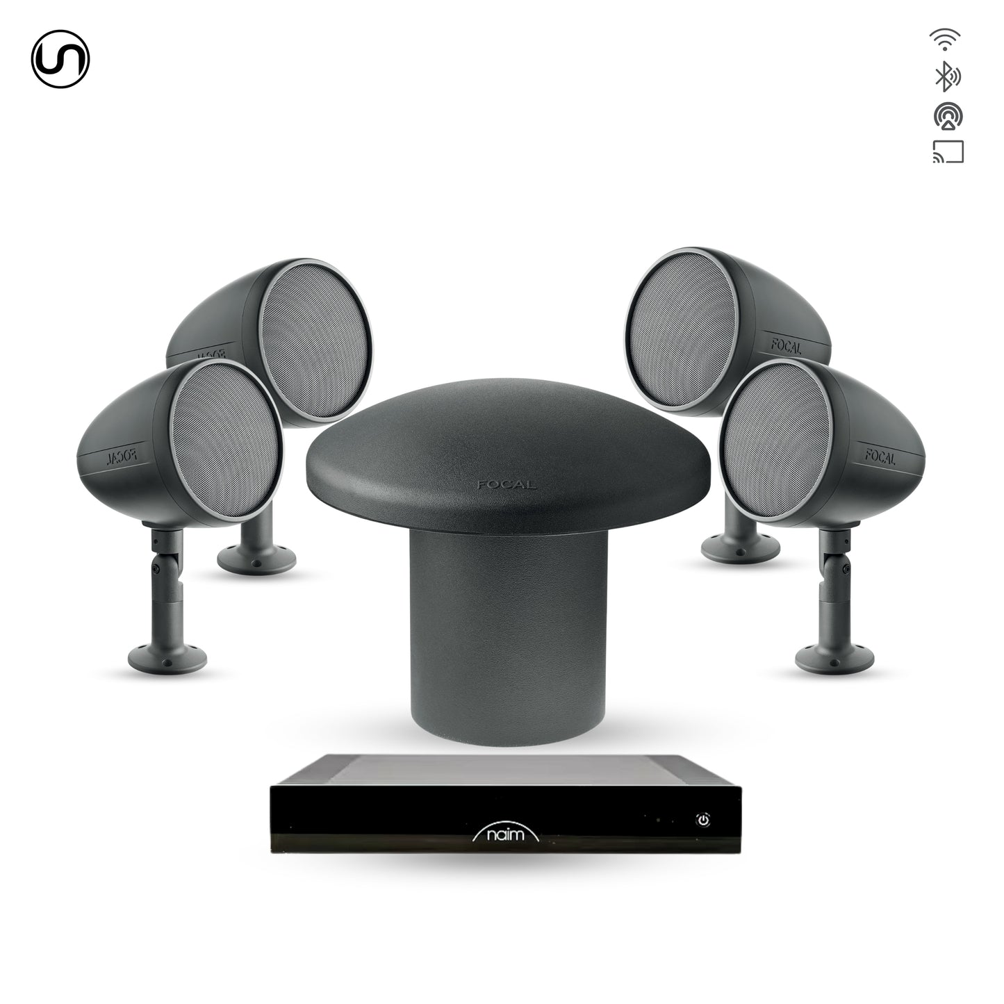 Audiophile Landscape Speaker Set