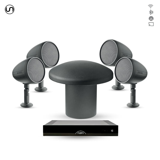 Audiophile Landscape Speaker Set