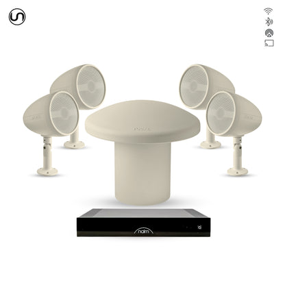 Audiophile Landscape Speaker Set