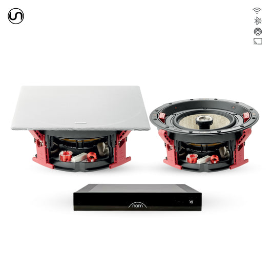 Audiophile Large In-Ceiling Speaker Set
