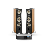 Walnut High Gloss - Black Mat