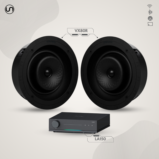 Budget Large In-Ceiling Speaker Set