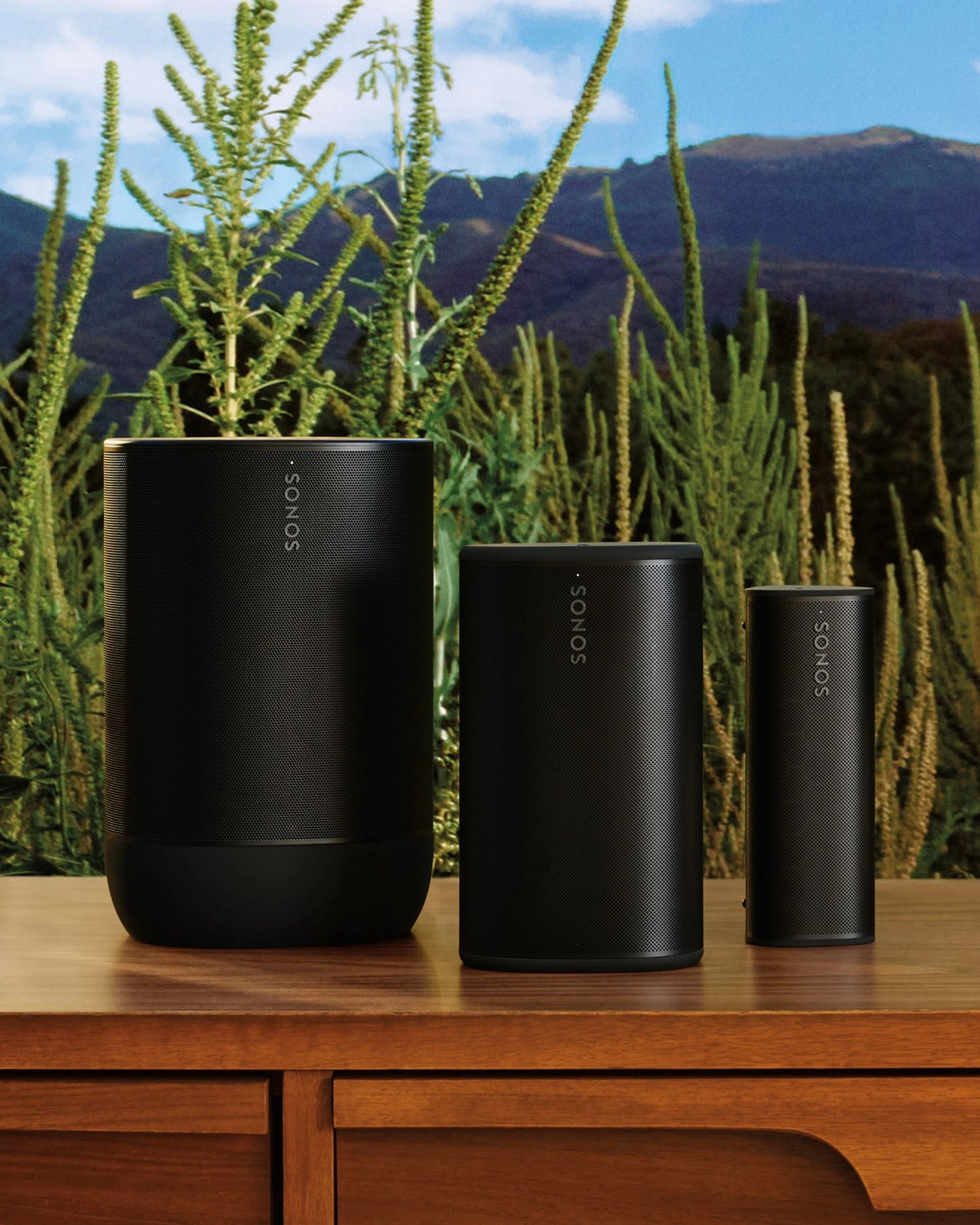 Sonos Play